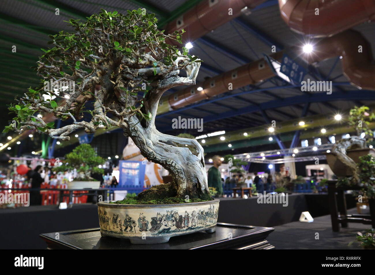 März 10, 2019 - 10 März 2019 (Malaga) FreakCon ist eine internationale Veranstaltung der populären Kultur in all seinen Erweiterungen zu feiern: TV-Serie, Manga, Comic, Animation, Film, Fantasy Literatur, Rollenspiele, Spiele, Science Fiction und Videospiele. Dieses Festival, das am 9. und 10. März 2019 im Palast der Kongresse und Messen von Malaga, wurde mit dem Ziel, zu einem Treffpunkt für Urheber, Künstler, Fans und die allgemeine Öffentlichkeit geboren. Credit: Lorenzo Carnero/ZUMA Draht/Alamy leben Nachrichten Stockfoto