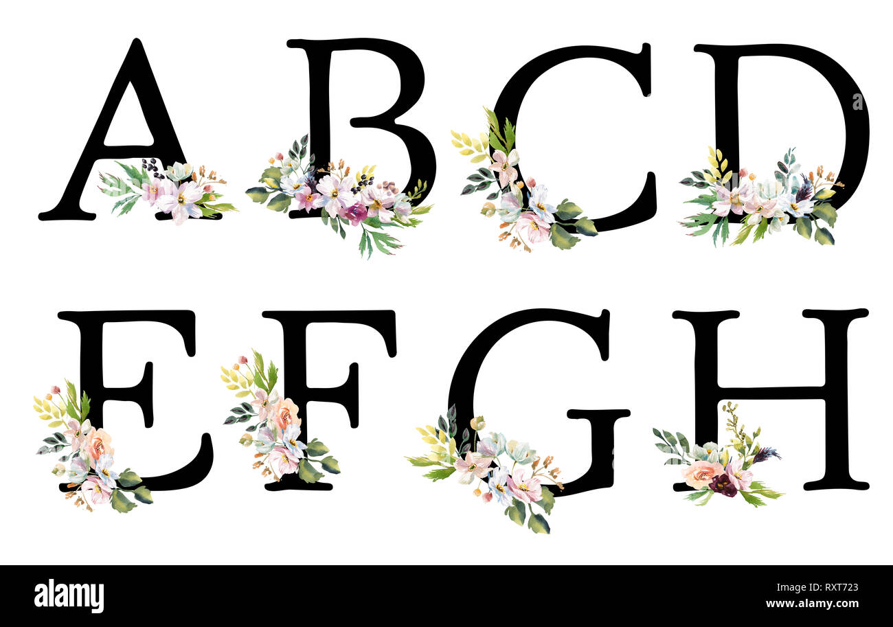 Elegantes Weichkãse 7 Buchstaben Bild