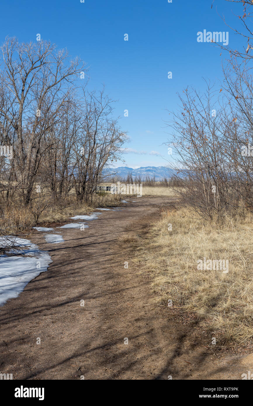 Loipe und Wanderweg im Rocky Mountain Arsenal Wildlife Refuge, Colorado, USA. Stockfoto