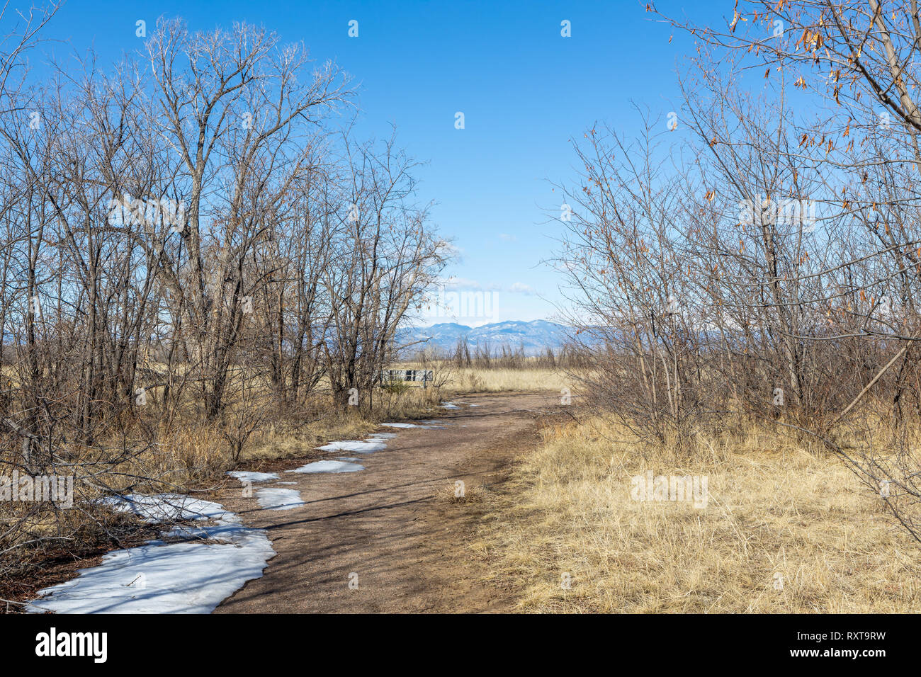 Loipe und Wanderweg im Rocky Mountain Arsenal Wildlife Refuge, Colorado, USA. Stockfoto