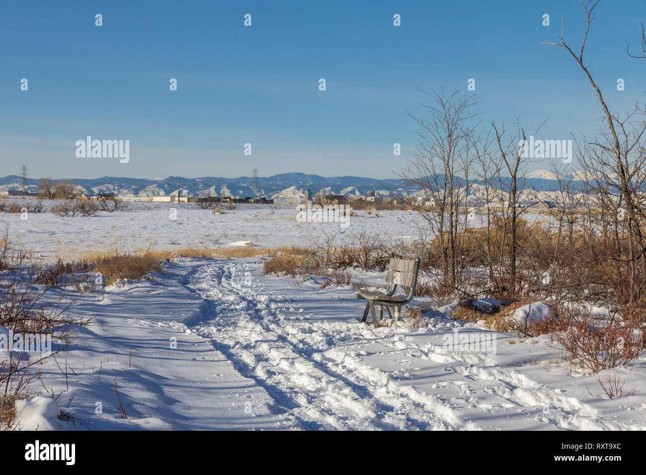 Sitzbank weiter weg zu schneebedeckten, Rocky Mountain Arsenal National Wildlife Refuge, Colorado, USA. Stockfoto