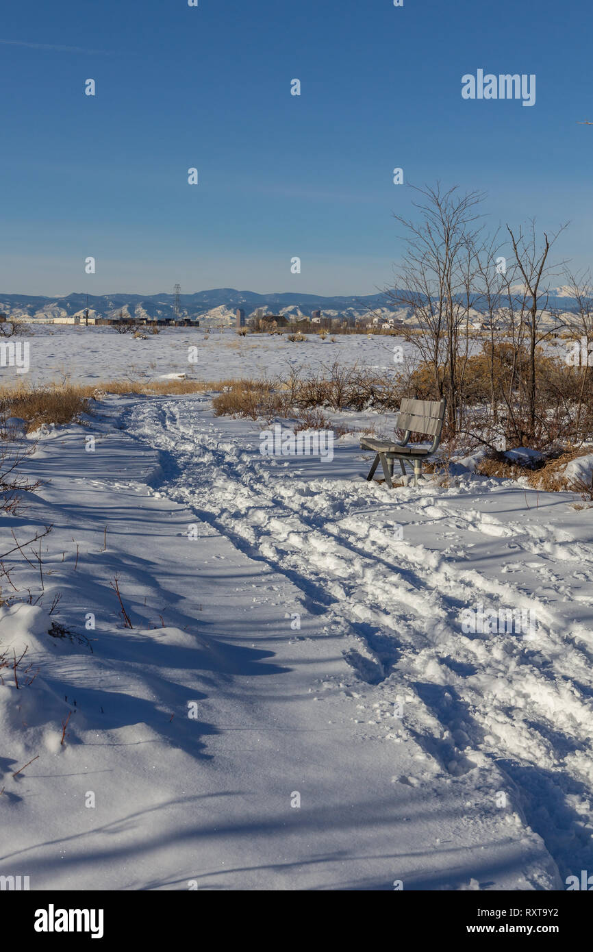 Sitzbank weiter weg zu schneebedeckten, Rocky Mountain Arsenal National Wildlife Refuge, Colorado, USA. Stockfoto