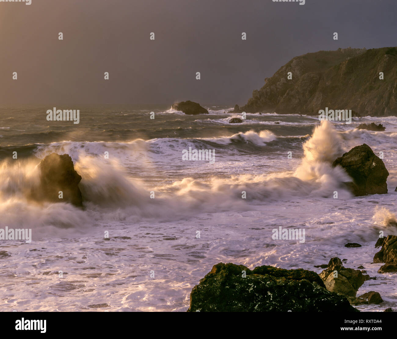 Schieben Sie Surfen, Beach, Golden Gate National Recreation Area, Marin County, Kalifornien Stockfoto