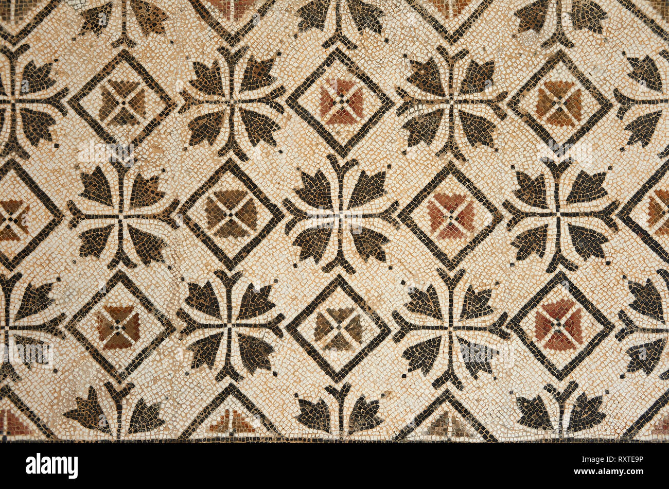 Bilder von einem geometrischen Kreuze römischen Mosaiken Design, von der antiken römischen Stadt Thysdrus. 3. Jahrhundert n. El Djem Archäologische Museum, El Djem, Stockfoto