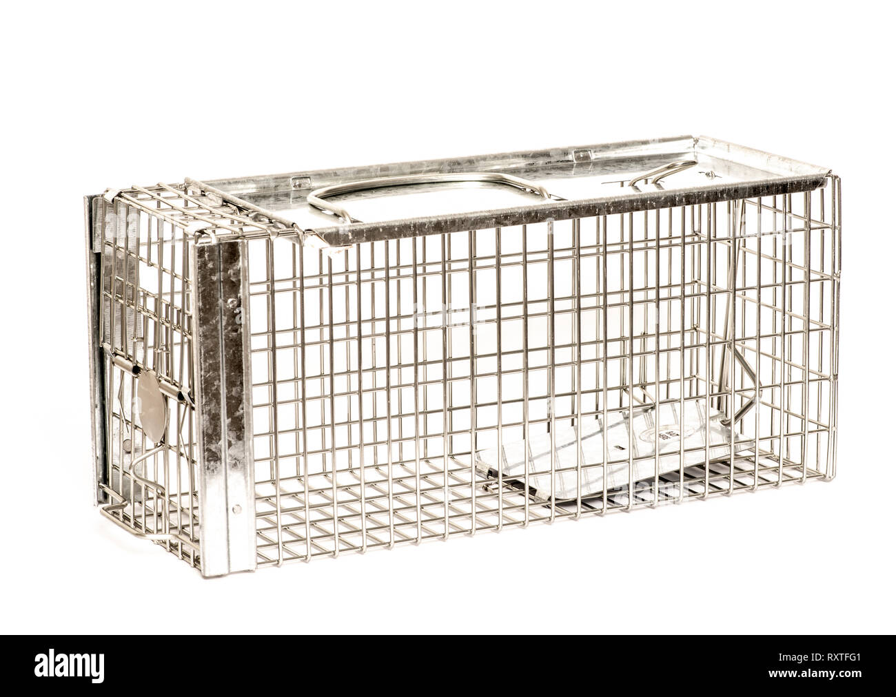 Humane Ratte Trap aus verzinktem Stahl Gitter auf weißen Hintergrund. Geschlossen Stockfoto