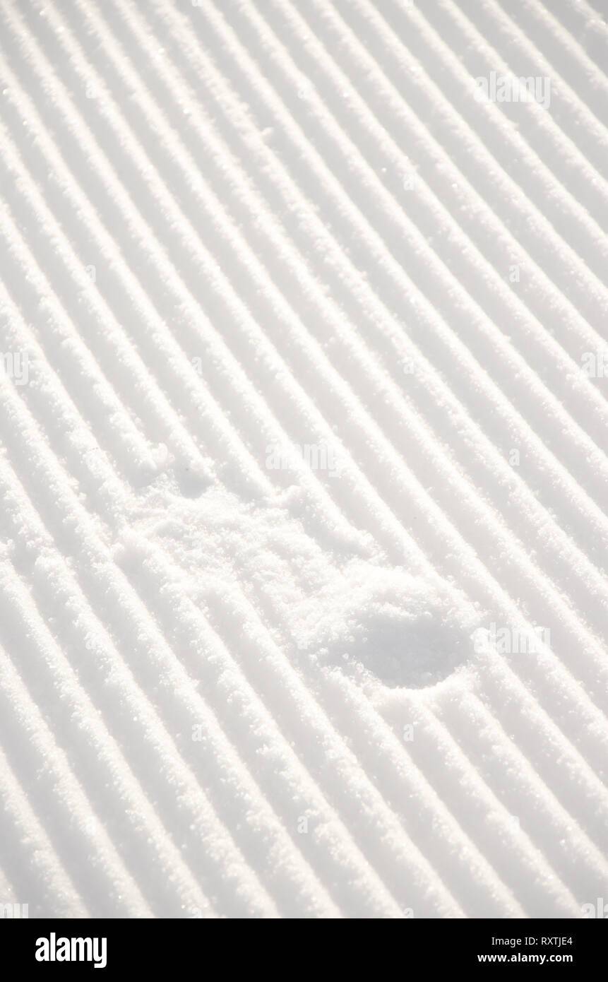 Spuren im Schnee, Winter in Österreich, Winter. Szene Nahaufnahme Stockfoto