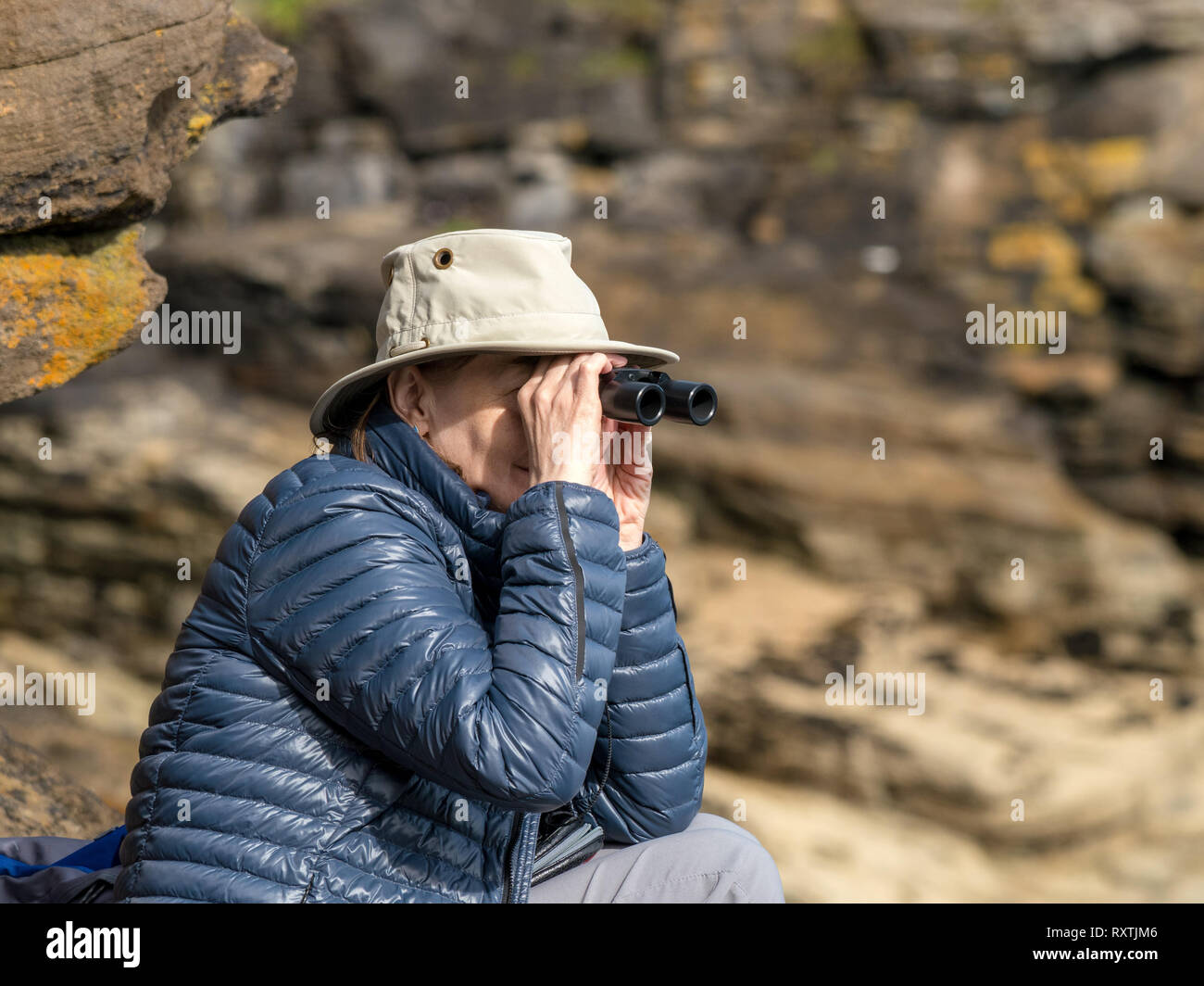 Erwachsene Frau mit Sonnenhut und gepolsterter Pufferjacke, die durch ein Fernglas schaut und wilde Tiere mit felsigen Klippen dahinter beobachtet, Isle of Skye, Schottland, Großbritannien Stockfoto