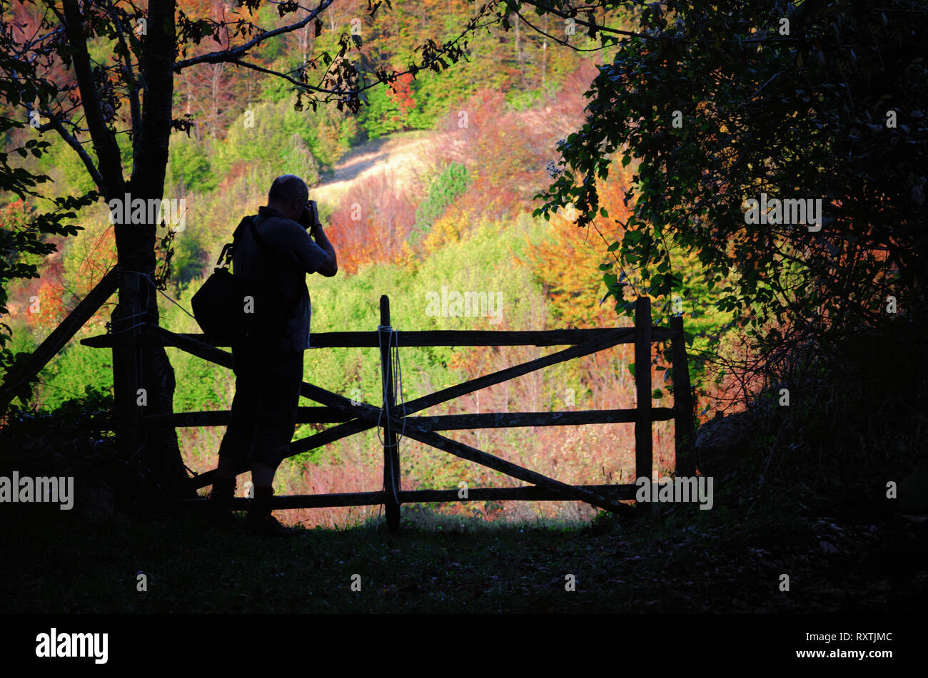 Die Silhouette eines Menschen fotografieren im Herbst Holz, schöne bunte hintergrund, Silhouette der Fotograf Stockfoto