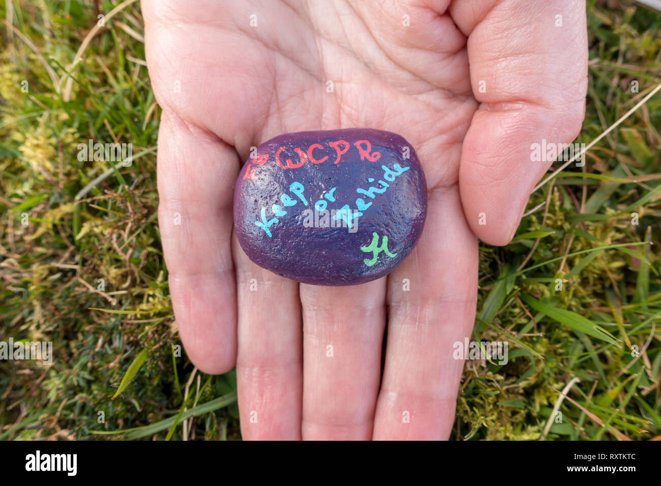 Hand mit einem West Coast Painted Rock (#WCPR). Eine versteckte und bemalt und lackiert Kiesel, Skye, Schottland, UK Stockfoto