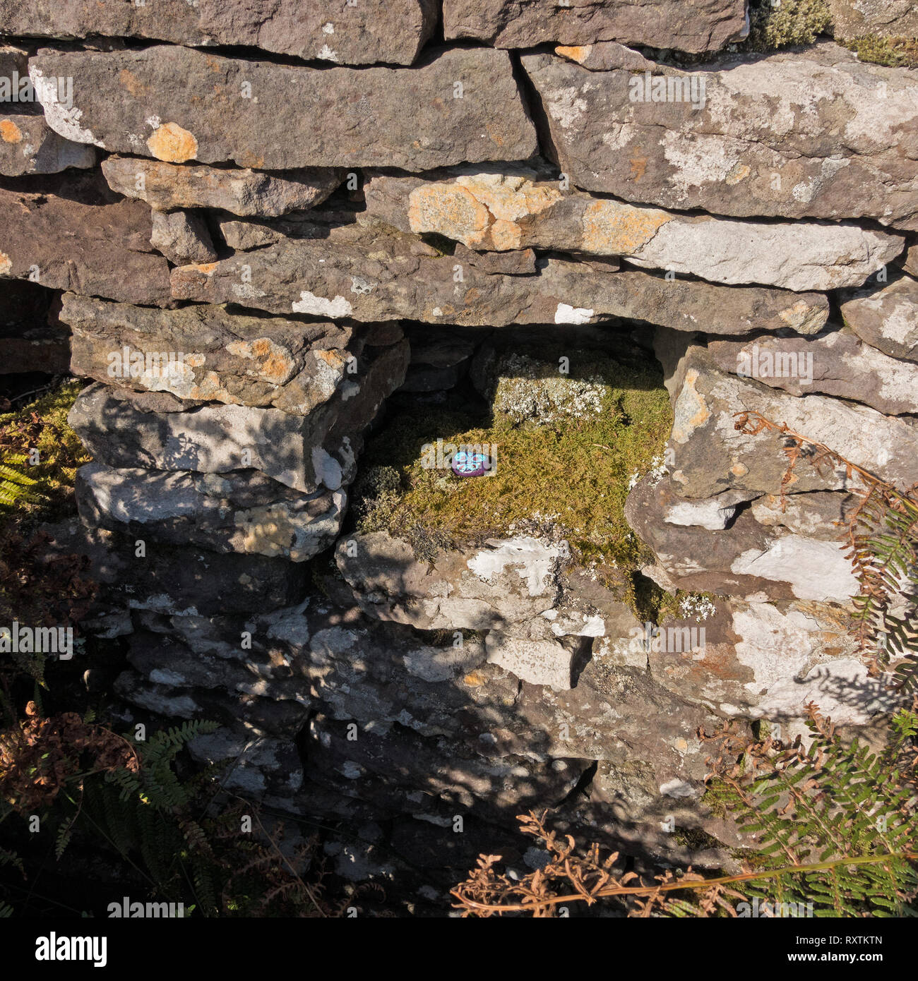 West Coast Painted Rock (#WCPR). Eine versteckte und bemalt und lackiert Kiesel, Skye, Schottland, UK Stockfoto