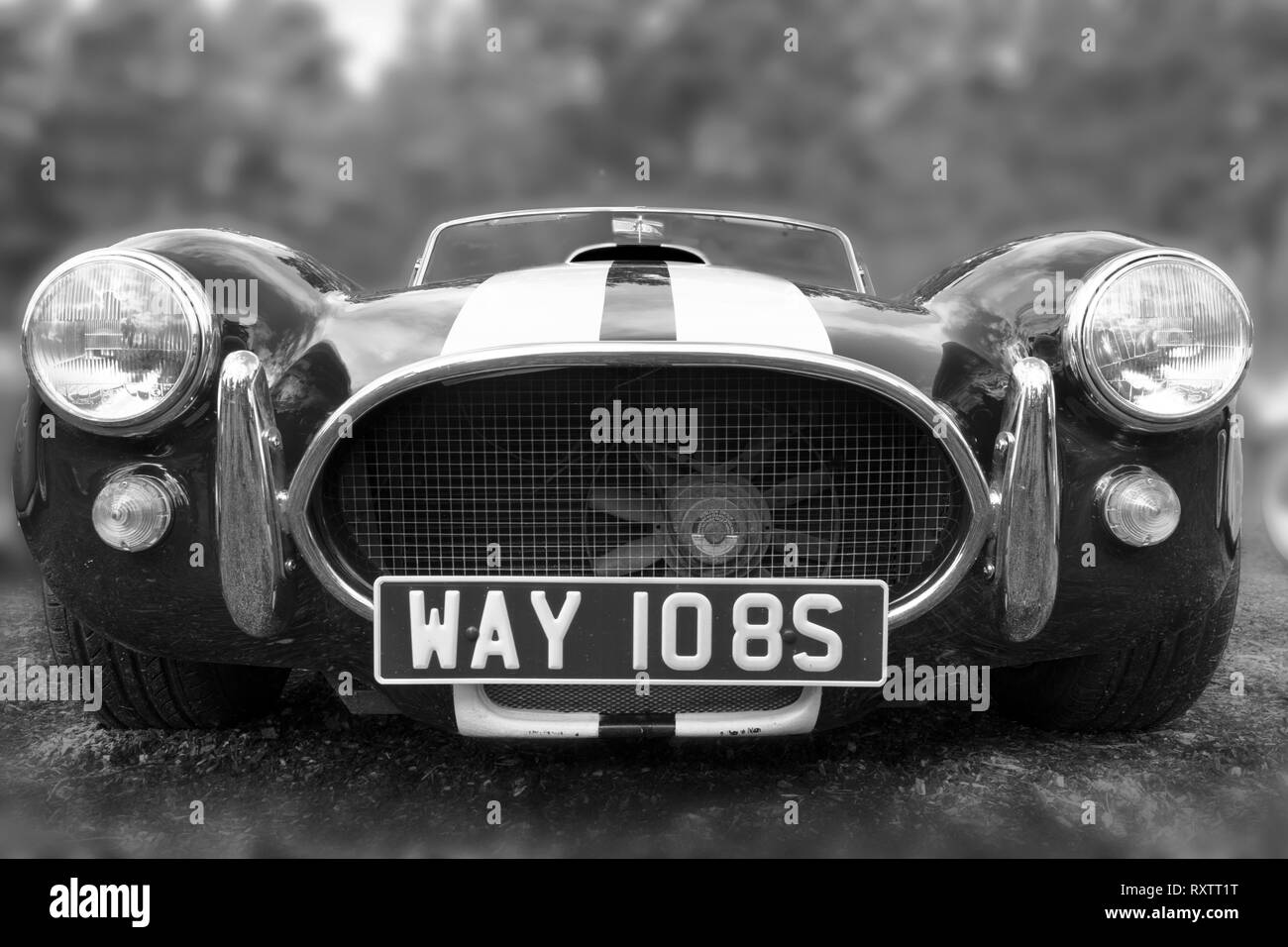 Dax AC Cobra Replica Auto Stockfoto