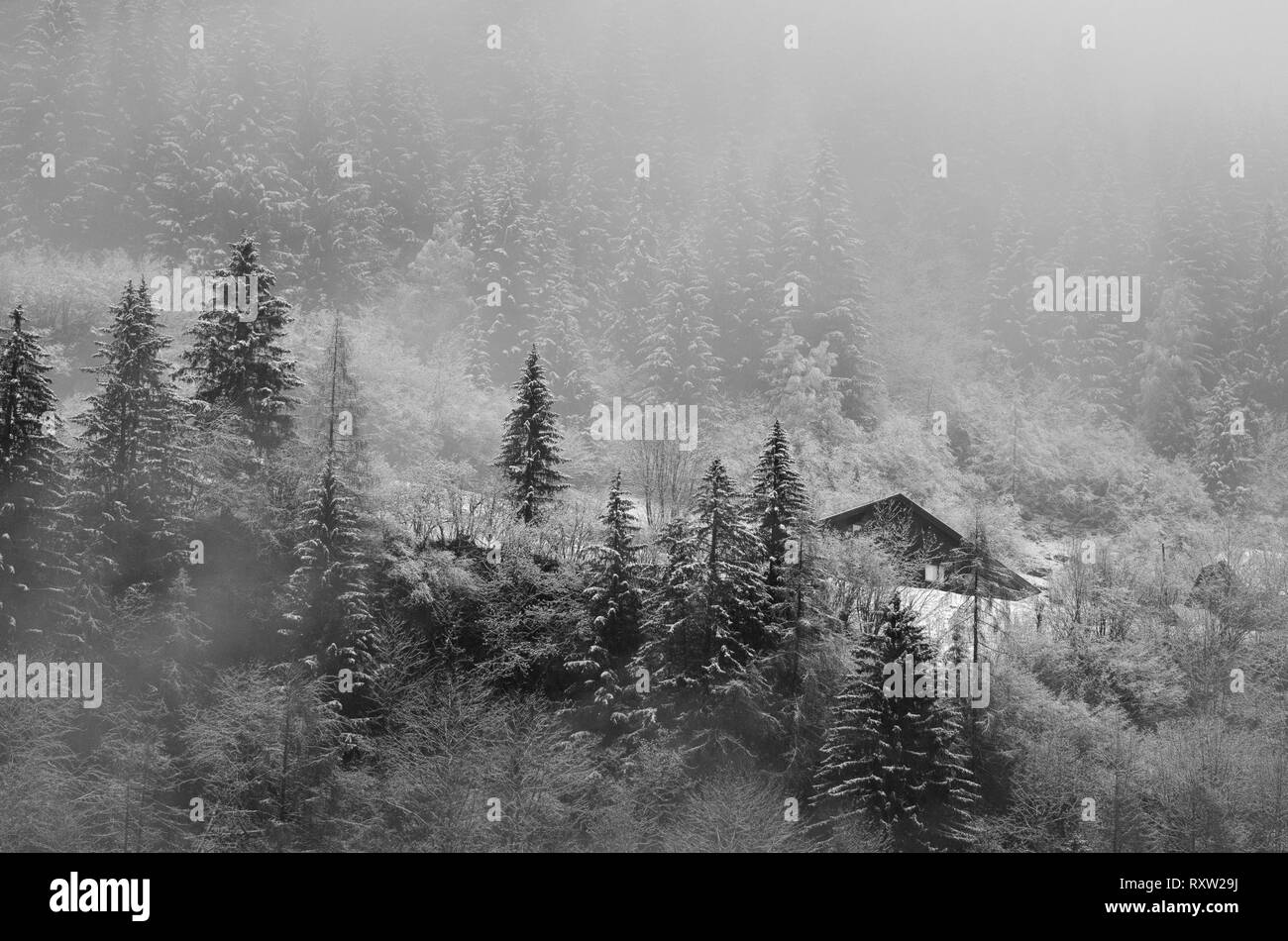 Einen schönen Winter Szene, ein Schneefall in einem Land, in den Bergen, niedrige Wolken und Nebel Häuser Stockfoto