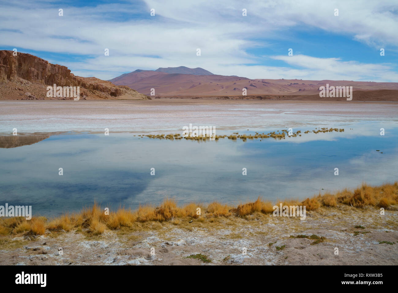 Die Hälfte Salz, halb Wasser, das Altiplano See in der Atacama Wüste ist ein sehr ungewöhnliches Ökosystem. Bei rund 13.000 ft. Chile, Südamerika Stockfoto