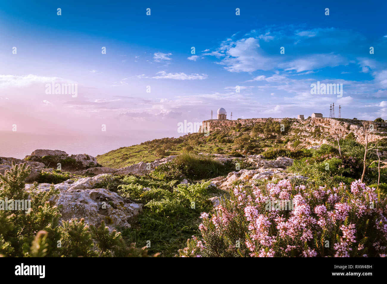 Dingli Cliffs, Malta: Panoramastraße mit Blick über Dingli Cliffs und Luftfahrt Radar mit lila Blumen im Vordergrund. Romantische violetten Tonen Stockfoto