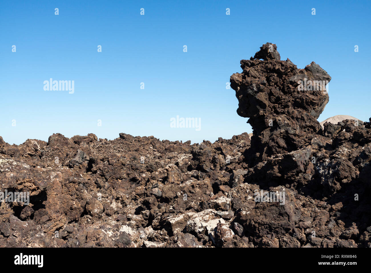 Tauchen Sie ein in die feindselige Landschaft vulkanischen Lava. Mancha Blanca, Lanzarote. Spanien Stockfoto