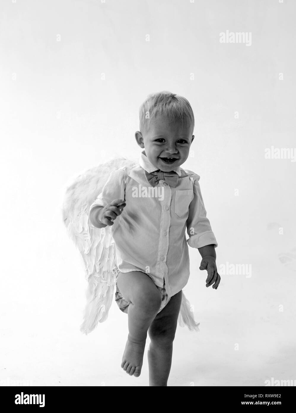 Können feiern. Adorable kleine Engel Junge. Baby Engel. Kleiner Junge mit Engel Flügel und Heiligenschein. Cute valentines Cupid oder cherub Baby. Weihnachten Engel Stockfoto