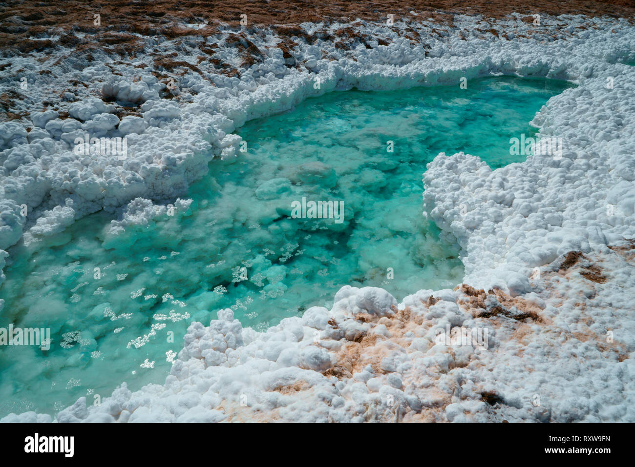 Salt Creek in der Nähe von San Pedro de Atacama, dem weißen Material ist Natriumchlorid, Wasser aus einem nahe gelegenen vulkanischen hot spring gesammelt. Die Anden, Chile, Südamerika Stockfoto