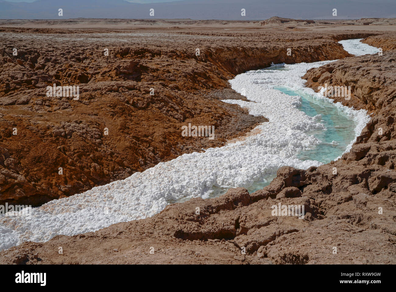 Salt Creek in der Nähe von San Pedro de Atacama, dem weißen Material ist Natriumchlorid, Wasser aus einem nahe gelegenen vulkanischen hot spring gesammelt, die Anden, Chile, Südamerika Stockfoto