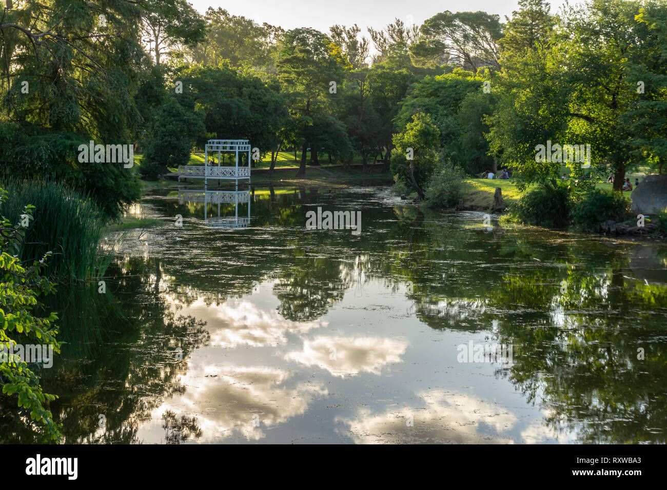 Grüne Bäume Reflexion an Sarmiento Park, Cordoba, Argentinien Stockfoto