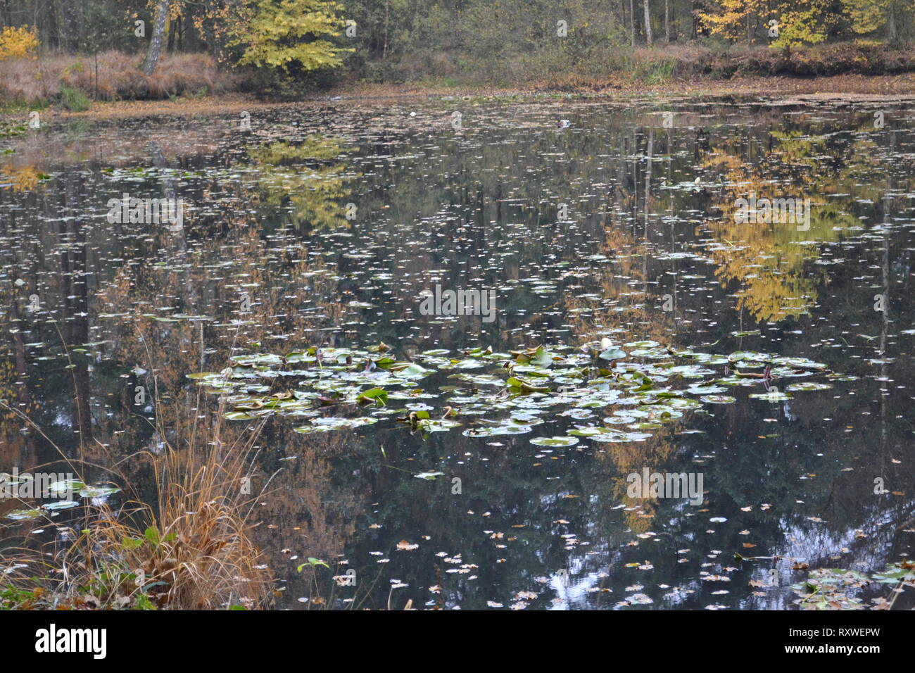 Versteckte Orte Stockfoto