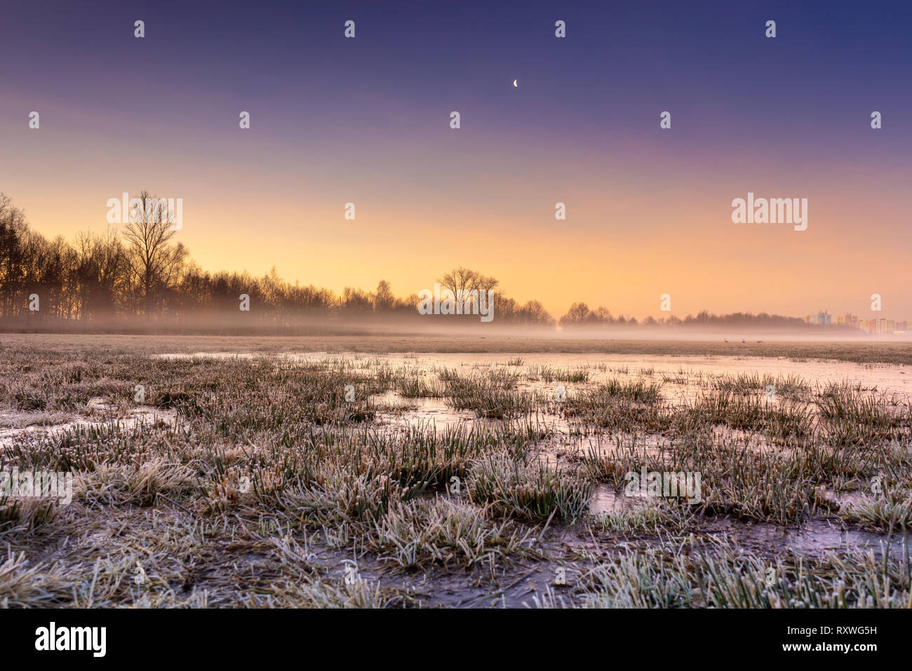 Kalter morgen im Sumpf unter den Sonnenaufgang. Stockfoto
