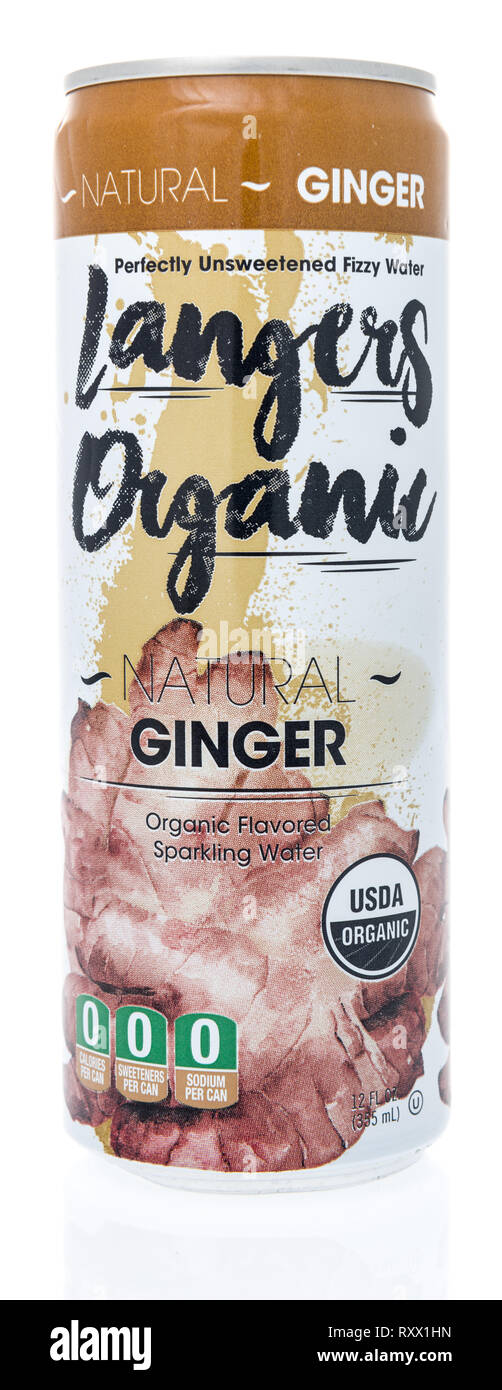 Winneconne, WI - 8. März 2019: eine Dose Langers Organic Natural Ingwer Mineralwasser bei einer isolierten Hintergrund Stockfoto