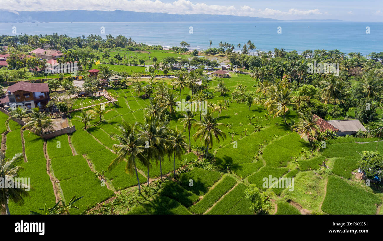 Der einmalige Blick auf die Bay Area in Pelabuhan Ratu (auch als Palabuhan Ratu bekannt) mit seinen Reisfeldern und Kokospalmen. Stockfoto