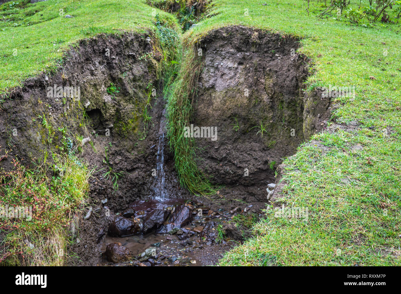 Wasser fließt durch einen Spalt in der Erde wwith üppigen, grünen Gras. Boden ersosion. Erdrutsch. Stockfoto