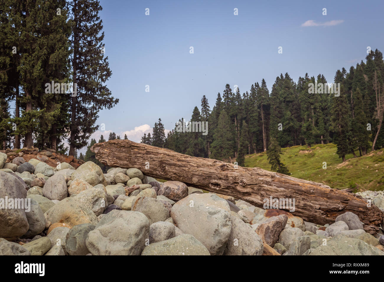 Ein Protokoll von Holz im weiten Feld der runde Felsen ein Flusslauf in eine Landschaft in Doodhpathri, Kaschmir Stockfoto