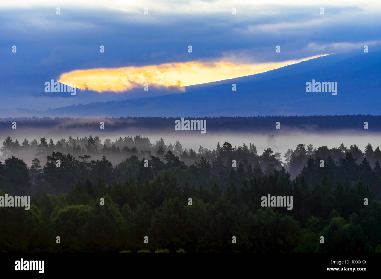 Dramatischer Sonnenaufgang in den Bergen mit bewölktem Himmel und nebligen Wald, Altai Gebirge, Osten Kasachstan. Fantasyland, Blaue Stunde Konzept Stockfoto