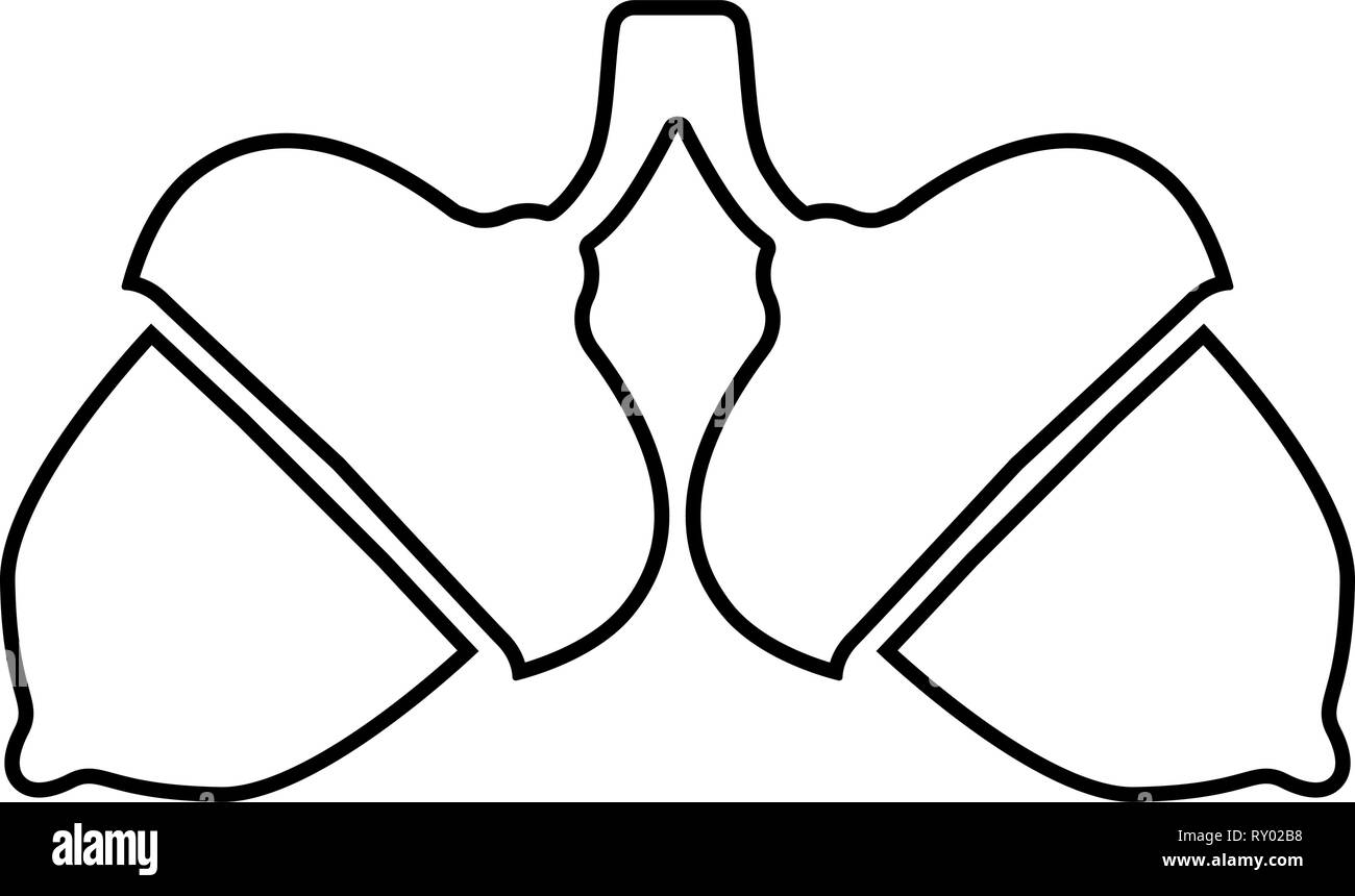 Zwei acorn Symbol schwarz Farbe Umrisse Vektor-illustration Flat Style Bild Stock Vektor