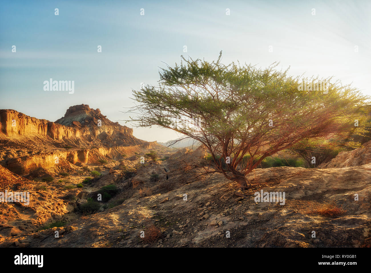 Qeshm Insel in der Straße von Hormuz, südlichen Iran, im Januar 2019 genommen, hdr genommen Stockfoto