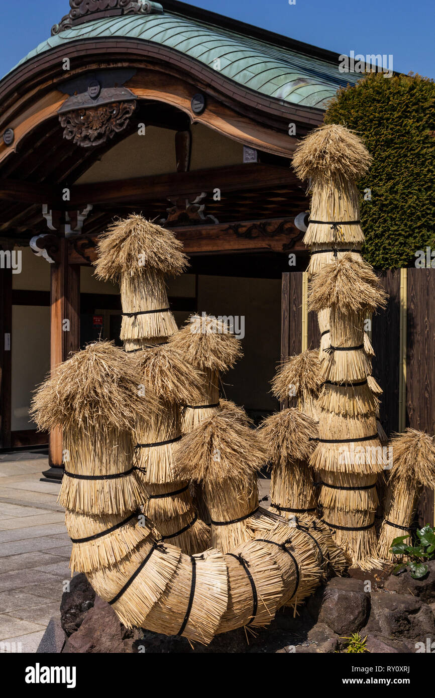 Japanische komo-maki oder komomaki wickelt sich Bäume mit einem Reis Strohmatte, um sie vor Witterungseinflüssen zu schützen. Dies ist häufig in Japanischen Gärten in e Stockfoto