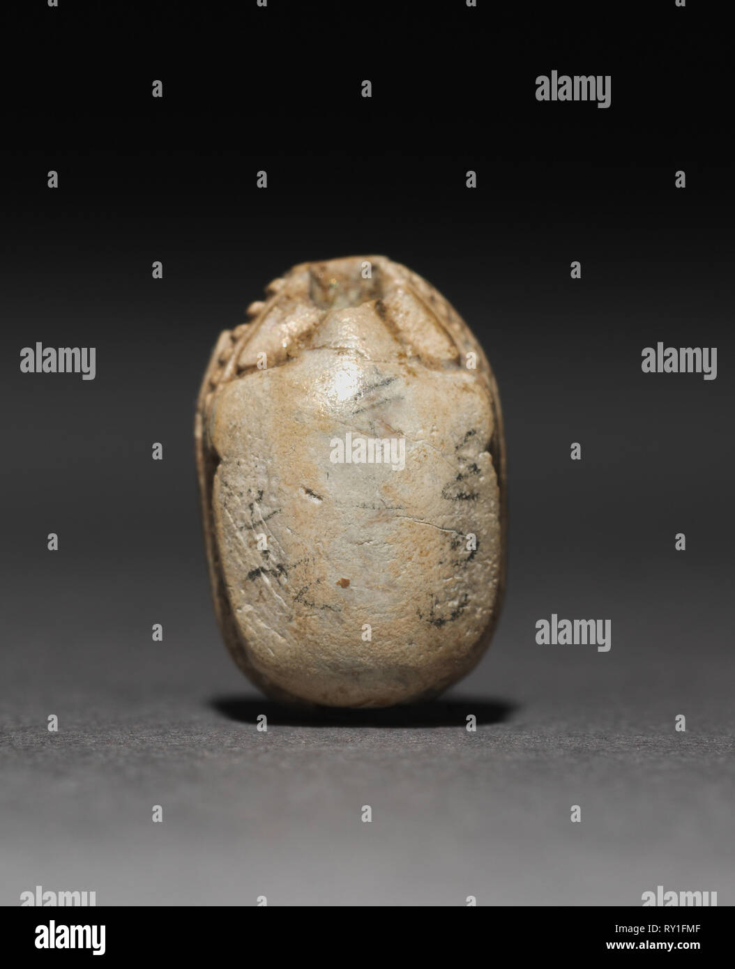 El haraga Fotos und Bildmaterial in hoher Auflösung Alamy