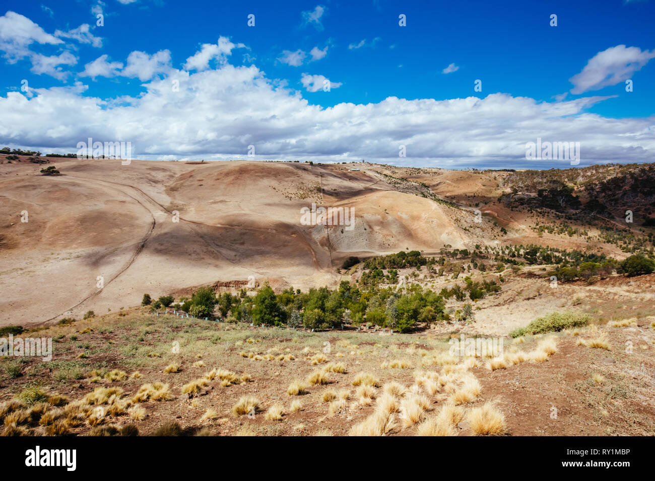 Werribee Schlucht Victoria Australien Stockfoto