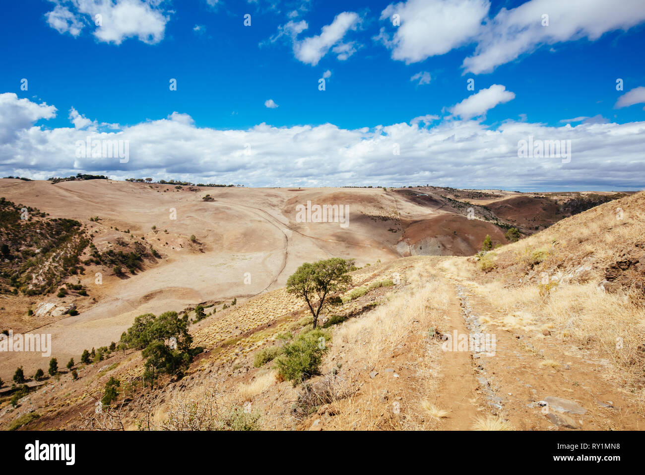 Werribee Schlucht Victoria Australien Stockfoto