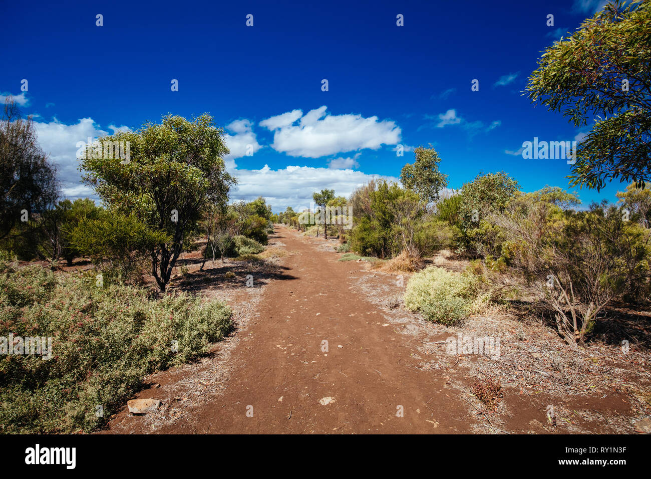 Werribee Schlucht Victoria Australien Stockfoto