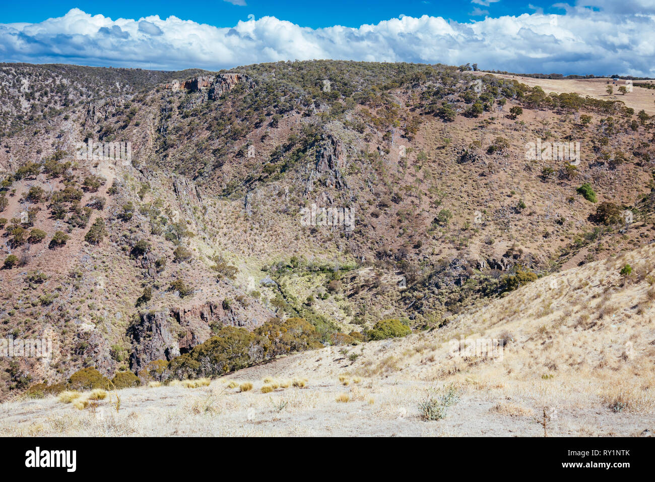 Werribee Schlucht Victoria Australien Stockfoto