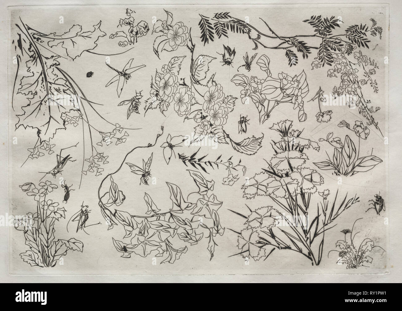 Abendessen (Rousseau): Blumen (Nr. 22), 1866. Félix Bracquemond (Französisch, 1833-1914). Ätzen; Blatt: 35 x 47,8 cm (13 3/4 x 18 13/16 in.); Plattenrand: 24,4 x 34,4 cm (9 5/8 x 13 9/16 Zoll Stockfoto