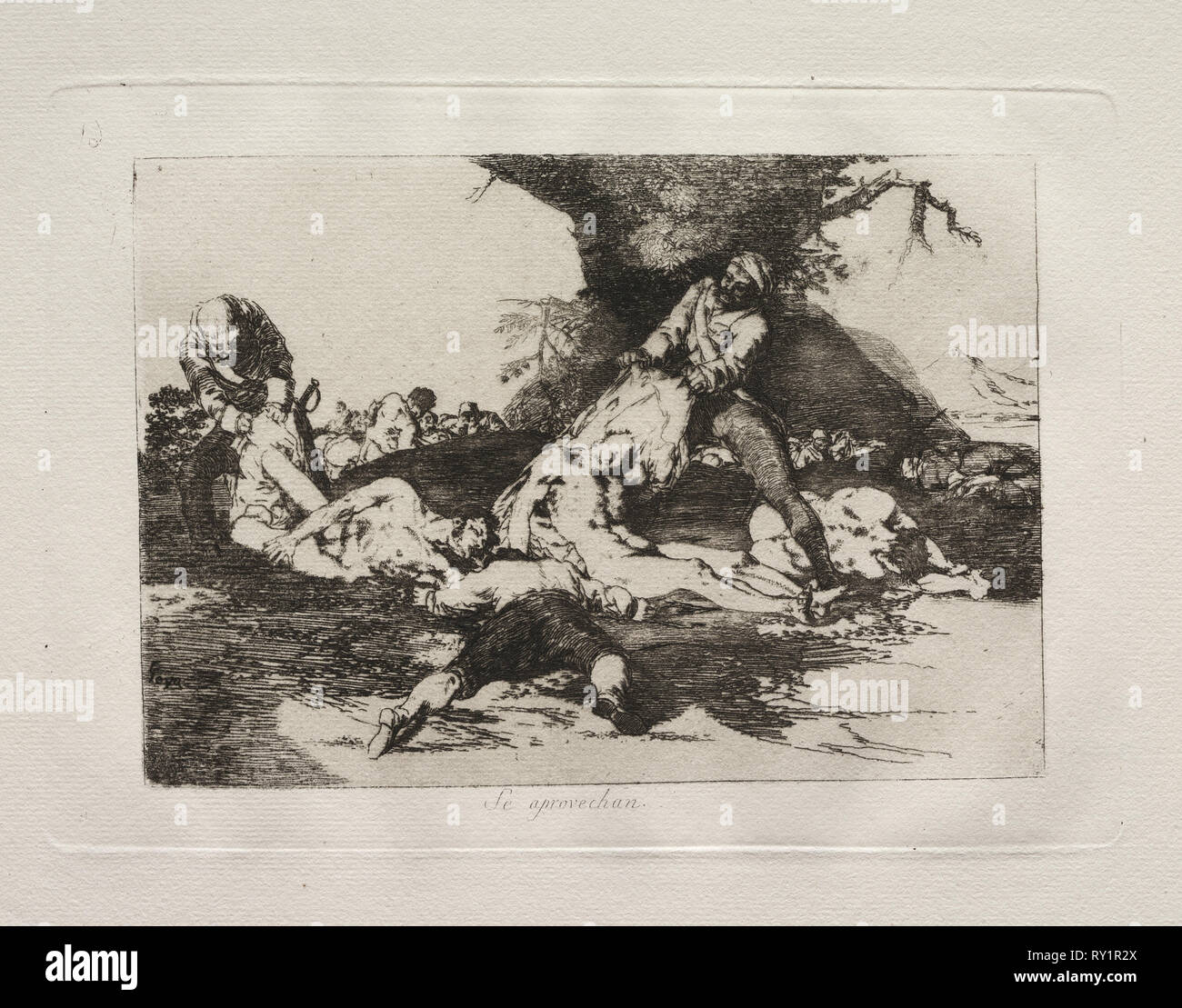 Die Schrecken des Krieges: Machen Sie Gebrauch von Ihnen. Francisco de Goya (Spanisch, 1746-1828). Ätzen Stockfoto