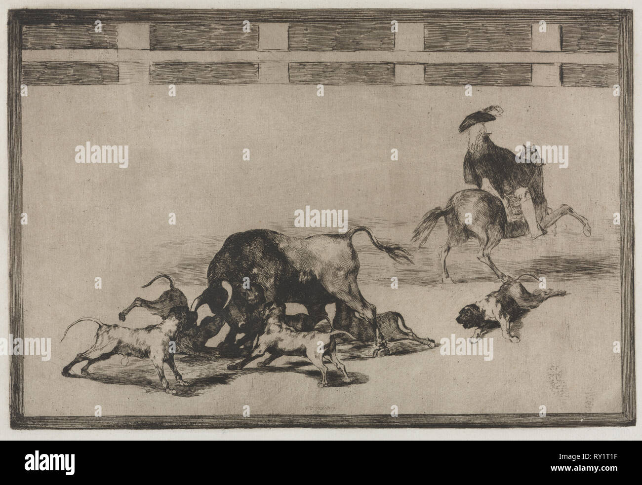 Stierkämpfe: Sie lose Hunde auf dem Stier, 1876. Francisco de Goya (Spanisch, 1746-1828). Gravur Stockfoto