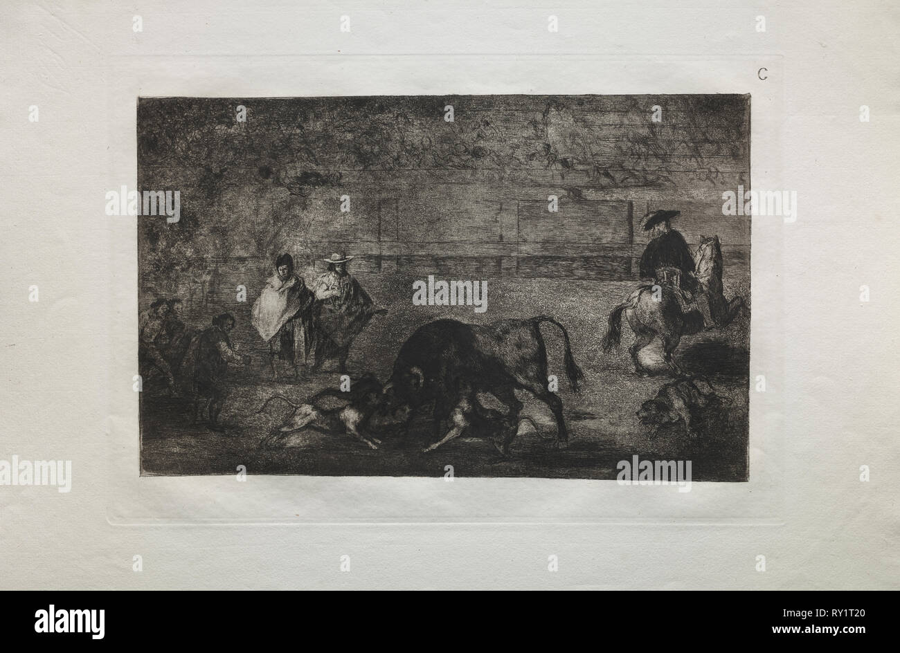 Stierkämpfe: Der Hund lassen Sie lose auf dem Stier, 1876. Francisco de Goya (Spanisch, 1746-1828). Gravur Stockfoto