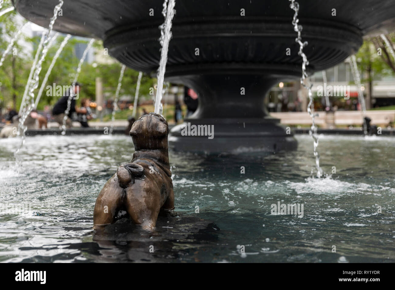 Hund Brunnen in Berczy Park. Toronto, Kanada Stockfoto