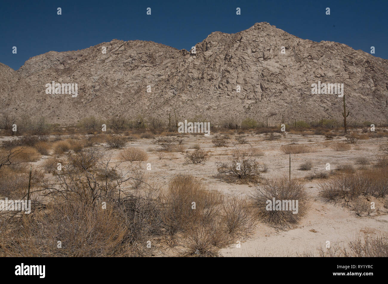 Desierto de Altar, Mpo. San Luis Rio Colorado, Sonora, Mexiko Stockfoto