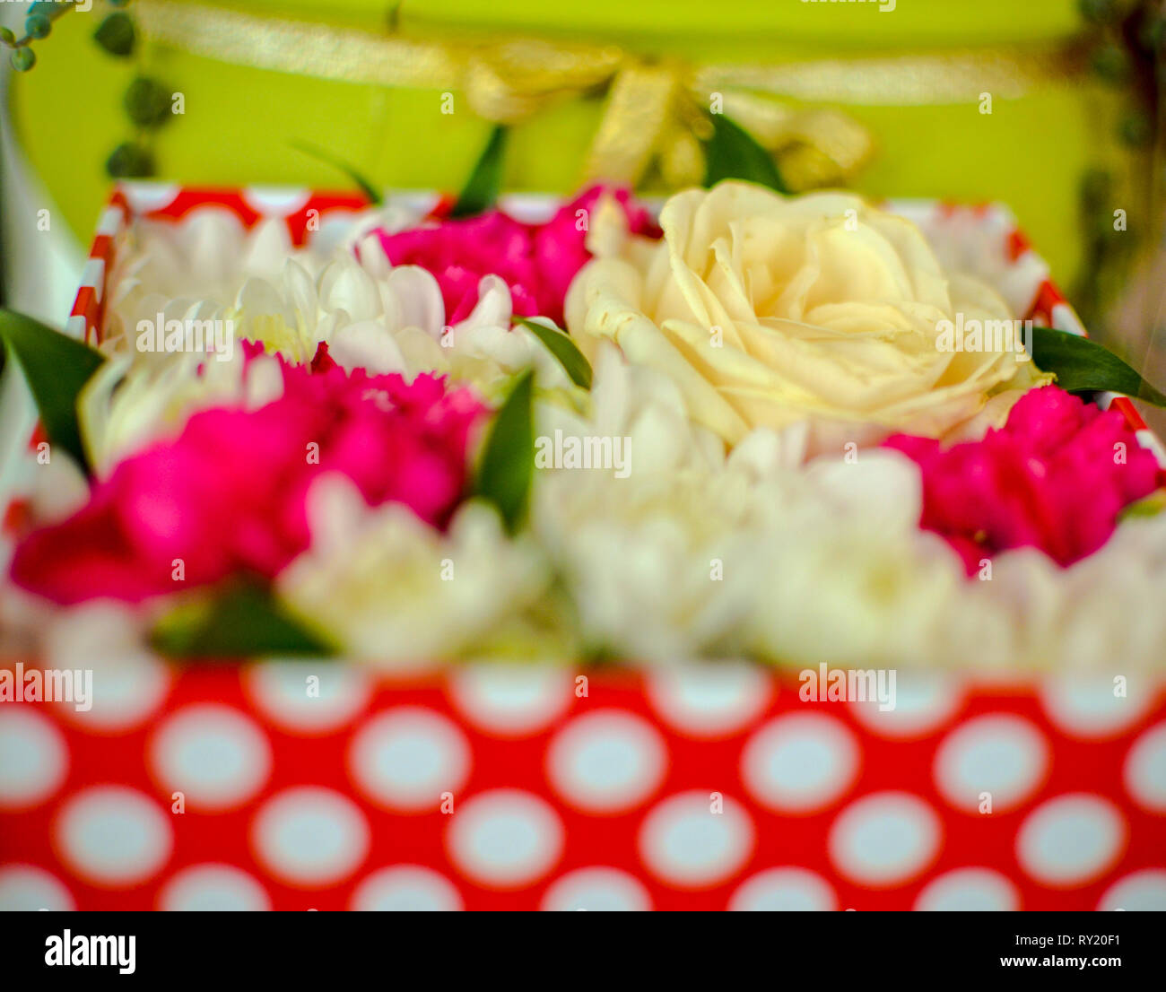 Schönen Blumenstrauß aus gemischten Blumen der Chrysanthemen, Nelken und Rosen. Hintergrund auf Full Screen in einer Box Stockfoto