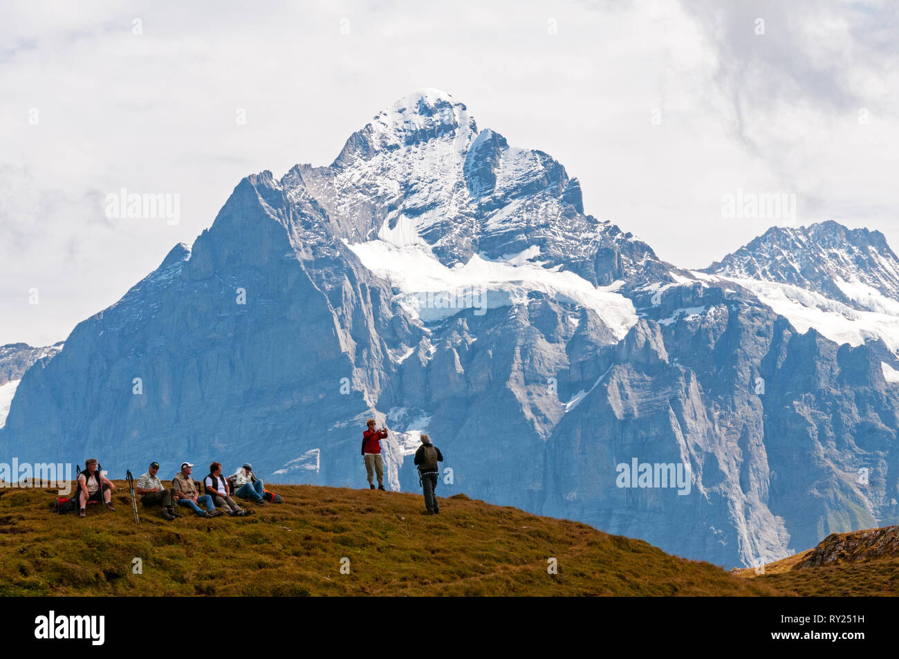 Schweizer Alpen rund um Grindelwald, Schweiz Stockfoto