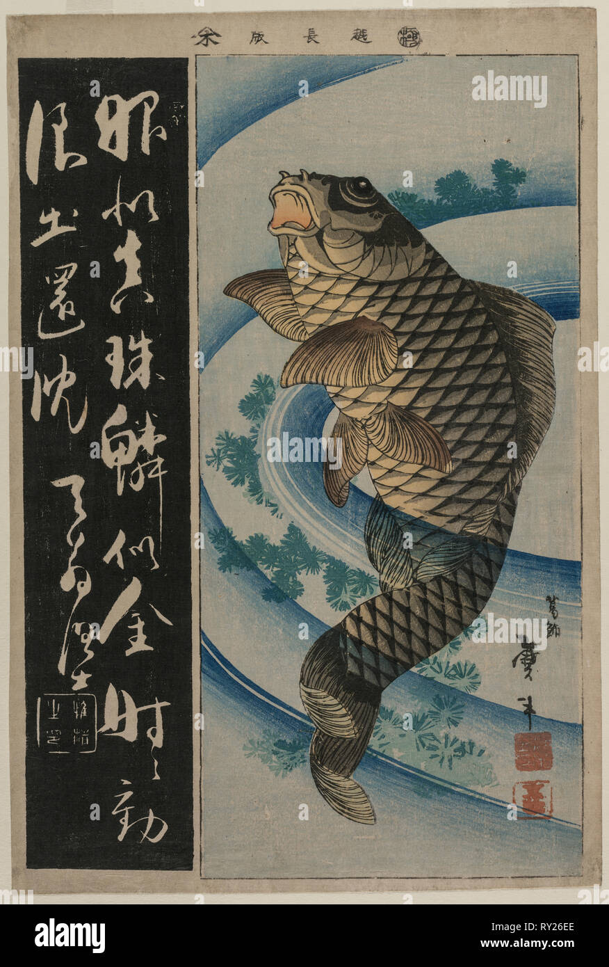 Karpfen und Waterweeds, C. in der frühen 1830er Jahre. Katsushika Taito II (Japanisch, Aktive c. 1810-50 s). Farbe holzschnitt; Blatt: 38,4 x 25,8 cm (15 1/8 x 10 3/16 in. Stockfoto