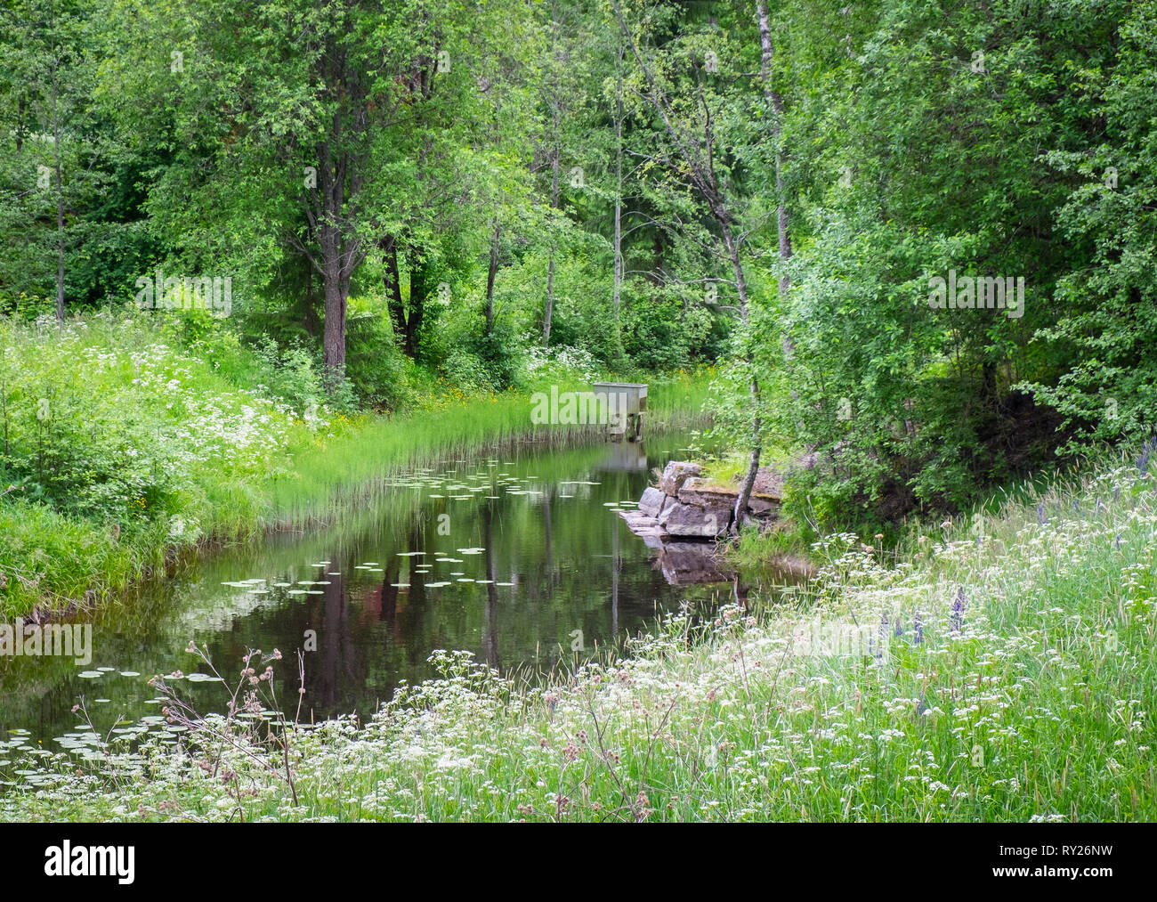 Das idyllische Flusslandschaft mit grüner Baum Blätter im Frühling in Finnland Stockfoto