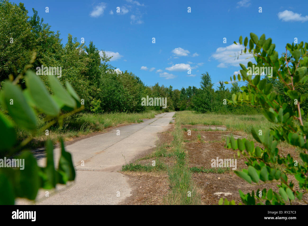 Parksrange, ehemaliger Truppenuebungsplatz, Osdorfer Straße, Lichterfelde, Berlin, Deutschland Stockfoto