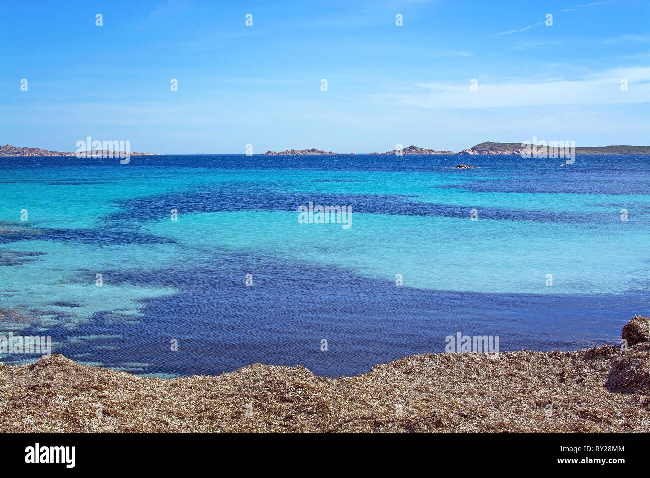 Marine aus Seegras winter Strand und blauen und grünen Meer in Costa Smeralda, Sardinien, Italien im März. Stockfoto